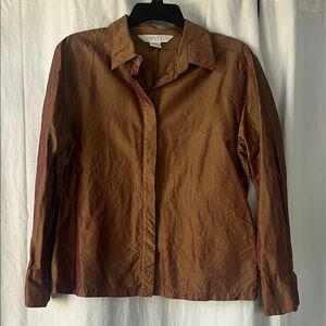 Express Copper Silk Blouse